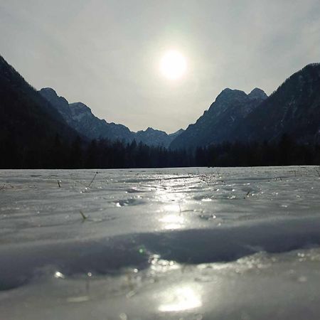 Turisticna Kmetija Psnak Appartement Mojstrana Buitenkant foto