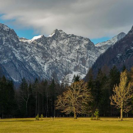 Turisticna Kmetija Psnak Appartement Mojstrana Buitenkant foto
