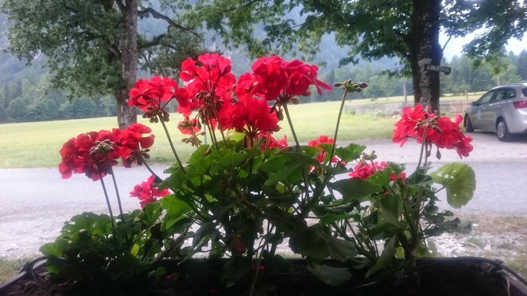 Turisticna Kmetija Psnak Appartement Mojstrana Buitenkant foto