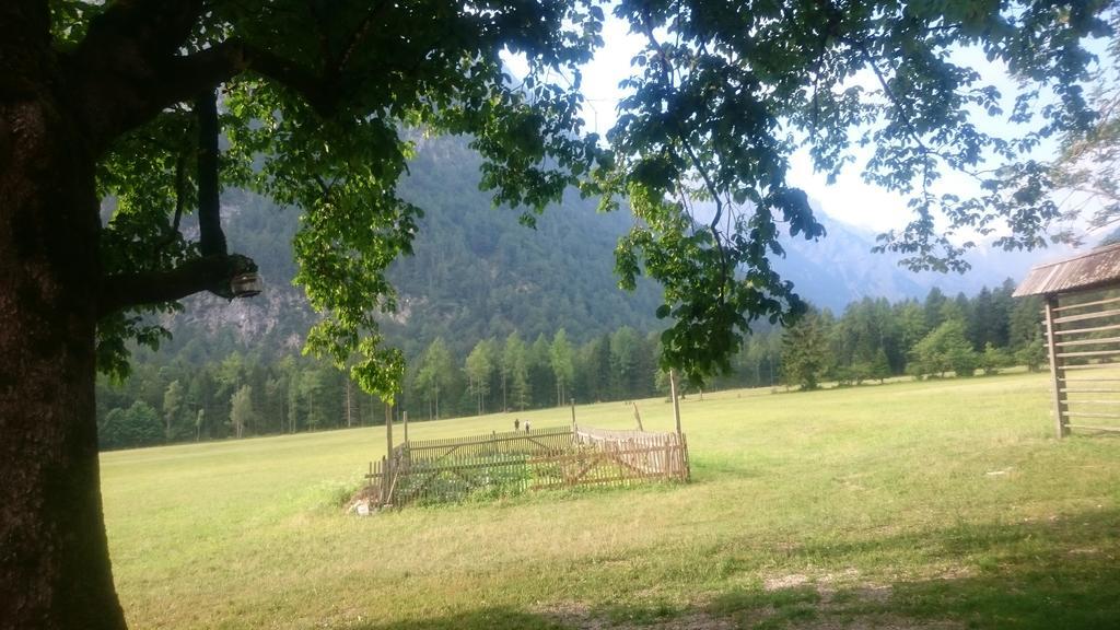 Turisticna Kmetija Psnak Appartement Mojstrana Buitenkant foto