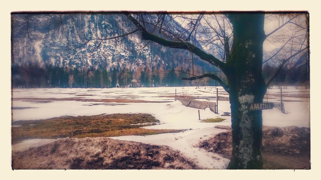 Turisticna Kmetija Psnak Appartement Mojstrana Buitenkant foto