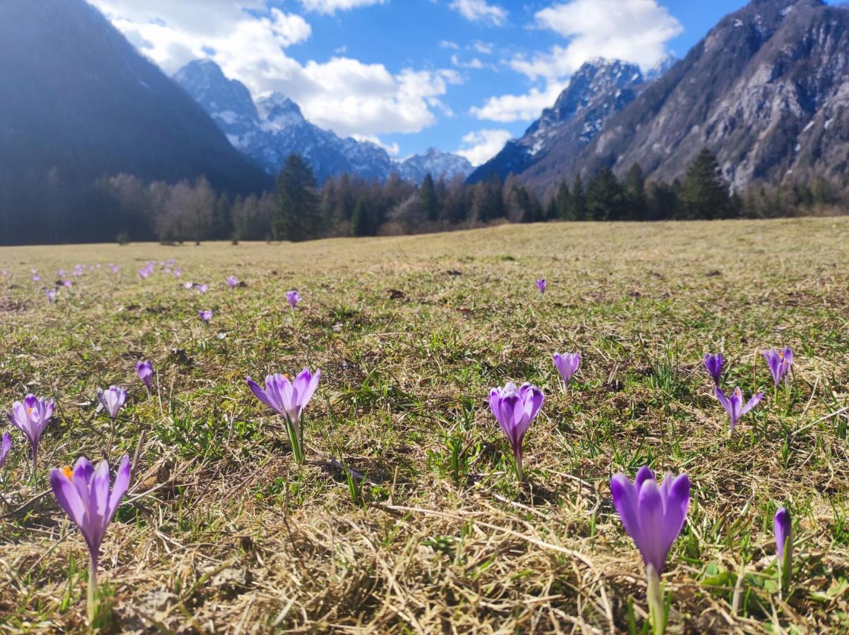Turisticna Kmetija Psnak Appartement Mojstrana Buitenkant foto