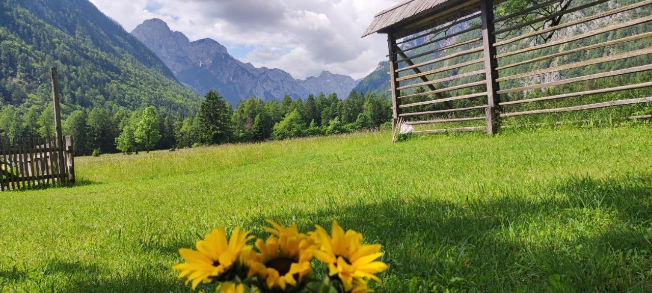 Turisticna Kmetija Psnak Appartement Mojstrana Buitenkant foto