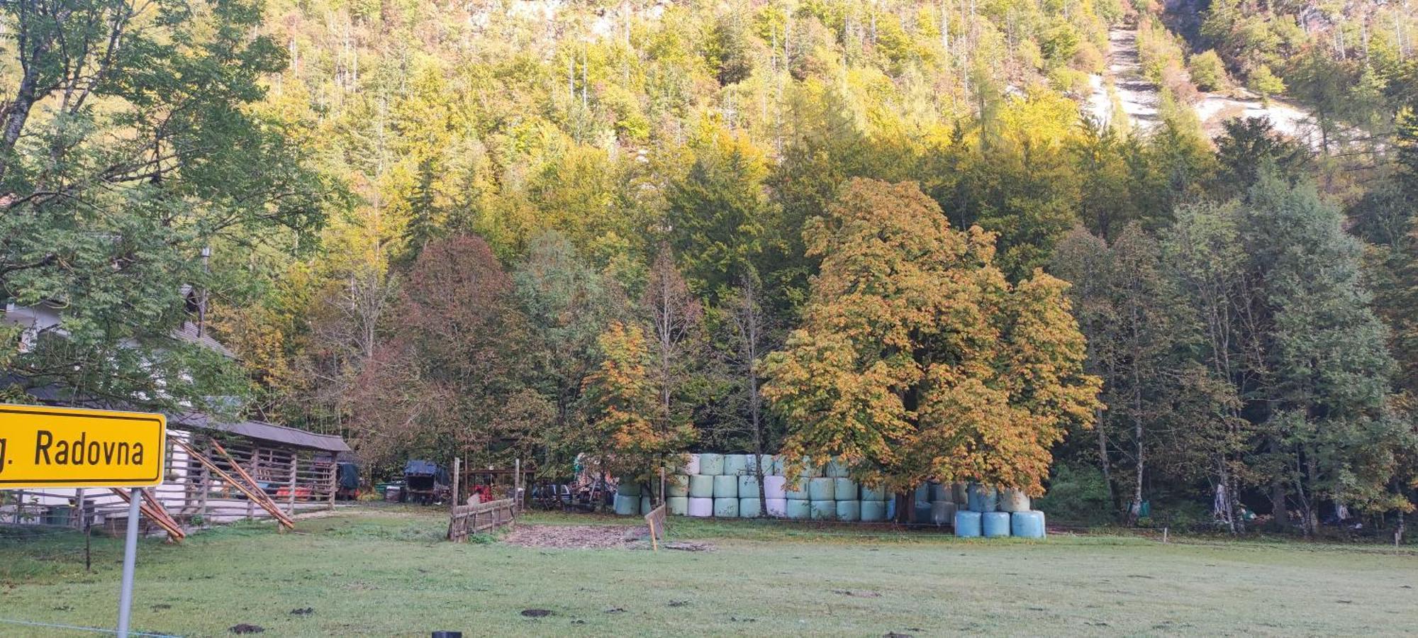 Turisticna Kmetija Psnak Appartement Mojstrana Buitenkant foto