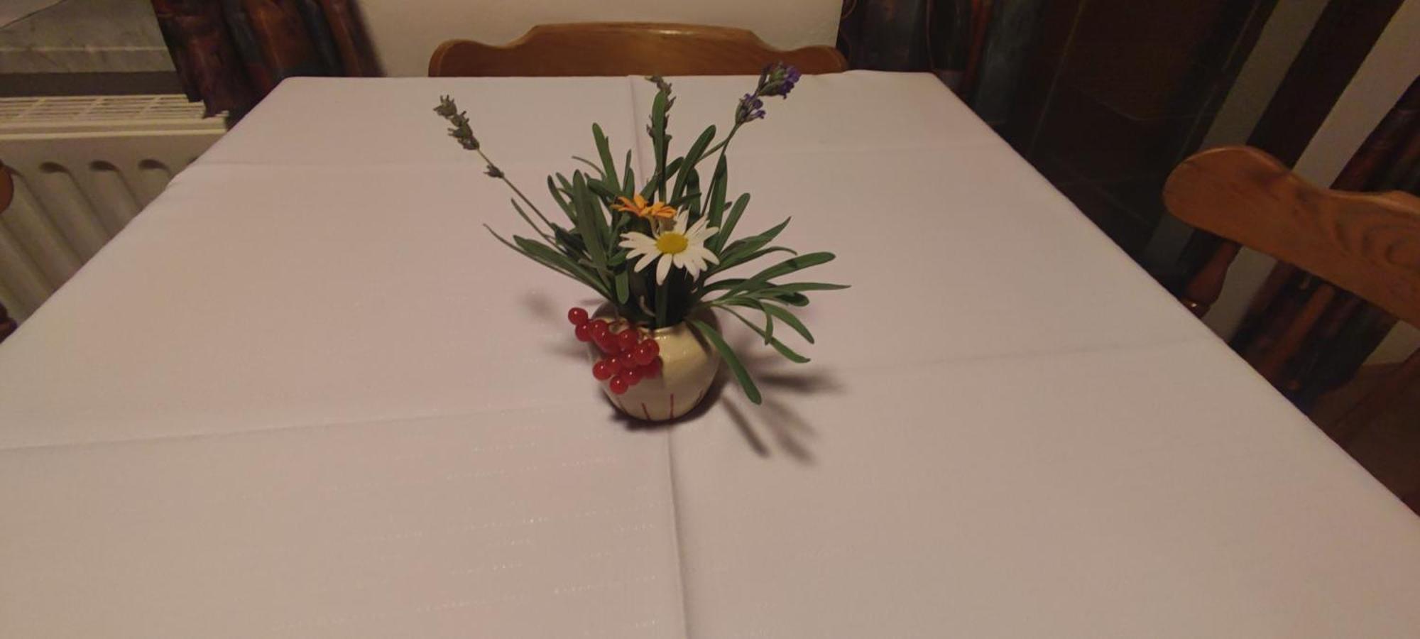 Turisticna Kmetija Psnak Appartement Mojstrana Buitenkant foto