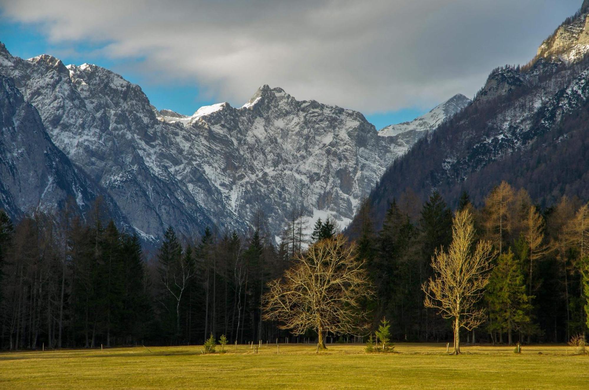 Turisticna Kmetija Psnak Appartement Mojstrana Buitenkant foto