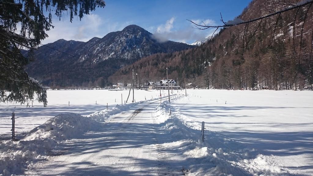 Turisticna Kmetija Psnak Appartement Mojstrana Buitenkant foto