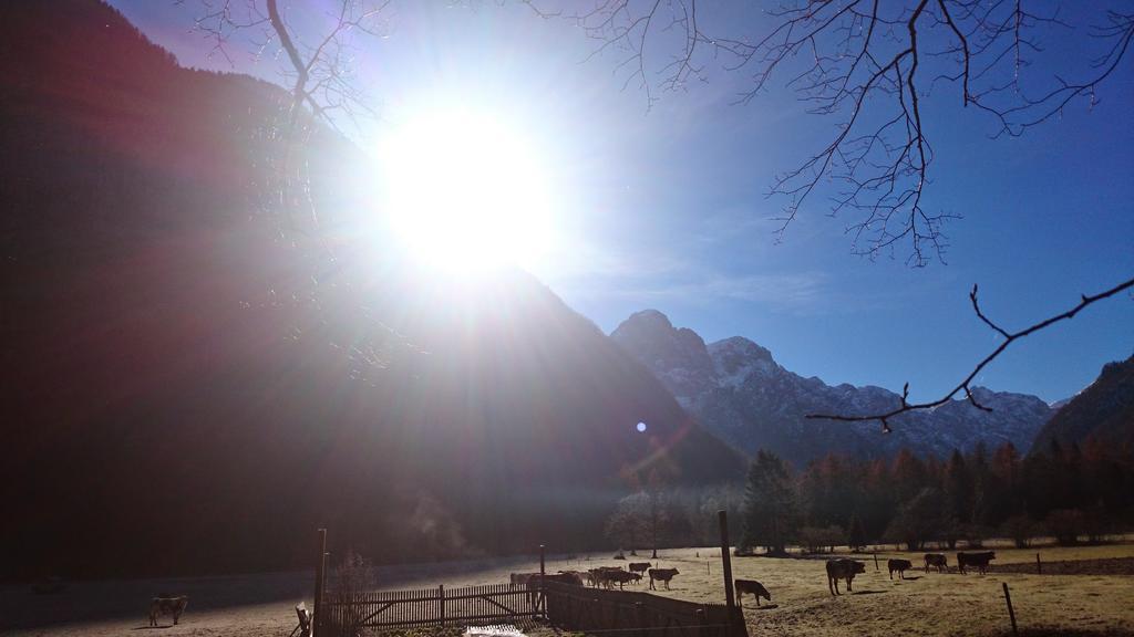 Turisticna Kmetija Psnak Appartement Mojstrana Buitenkant foto