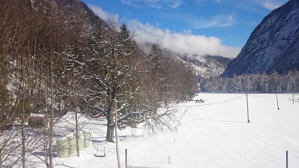 Turisticna Kmetija Psnak Appartement Mojstrana Buitenkant foto