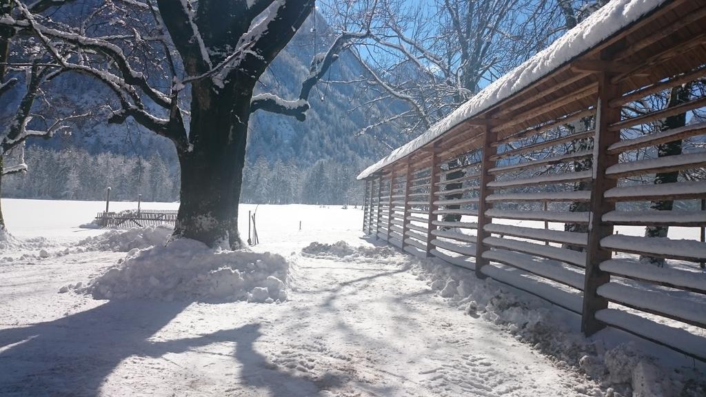Turisticna Kmetija Psnak Appartement Mojstrana Buitenkant foto
