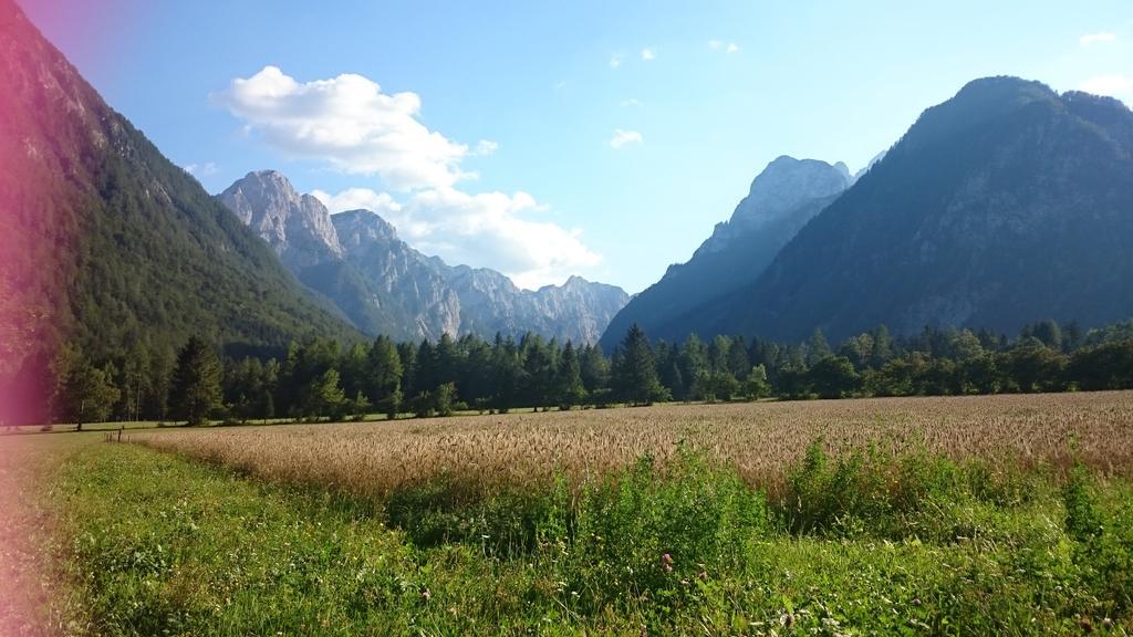 Turisticna Kmetija Psnak Appartement Mojstrana Buitenkant foto