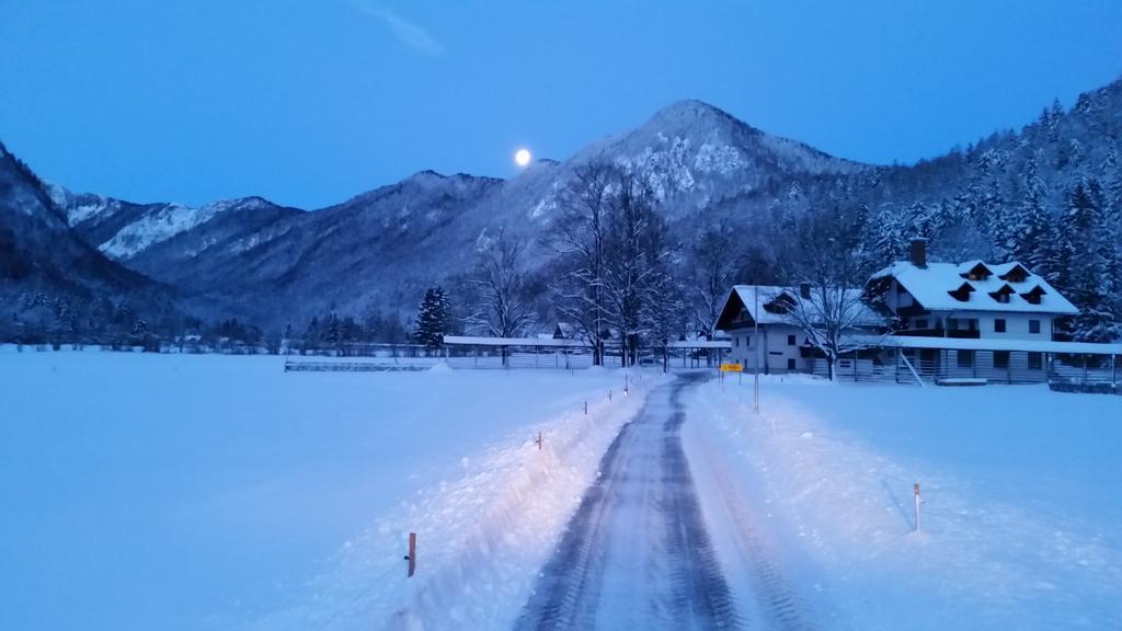 Turisticna Kmetija Psnak Appartement Mojstrana Buitenkant foto