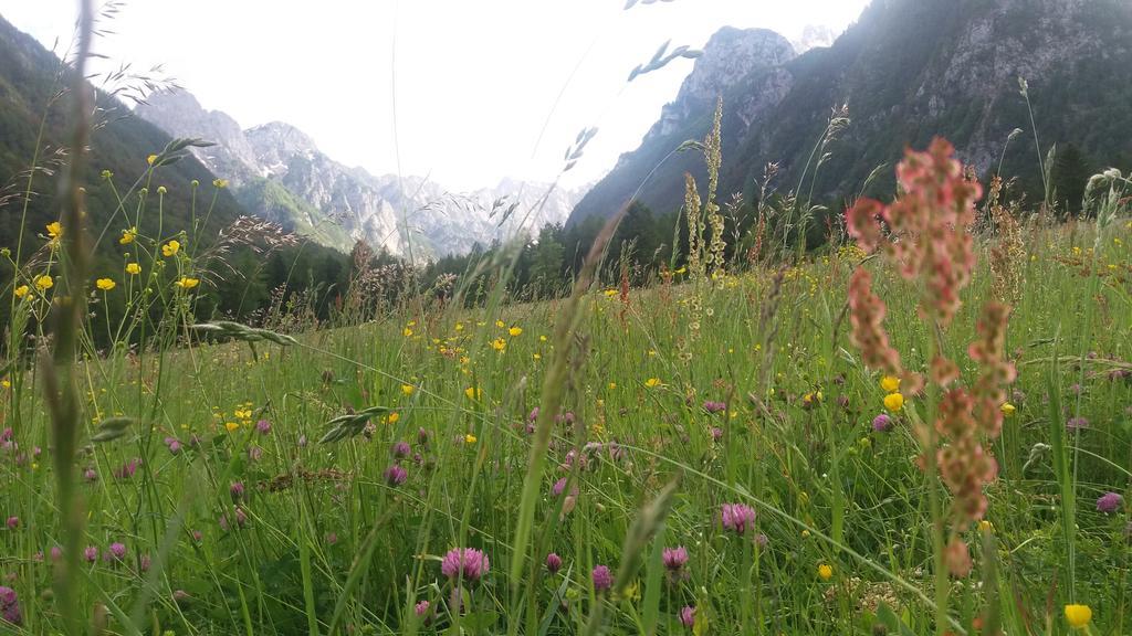 Turisticna Kmetija Psnak Appartement Mojstrana Buitenkant foto