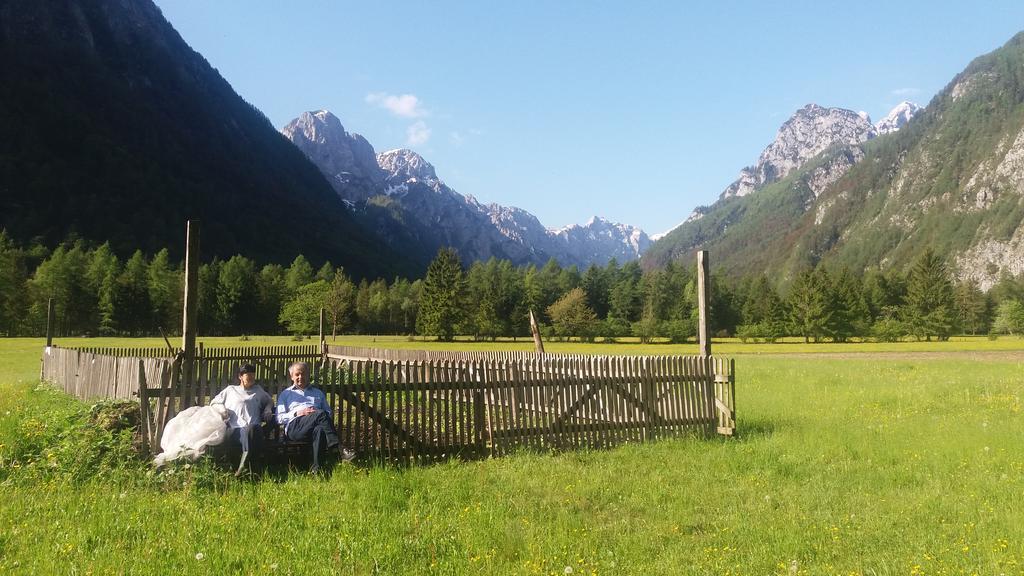 Turisticna Kmetija Psnak Appartement Mojstrana Buitenkant foto