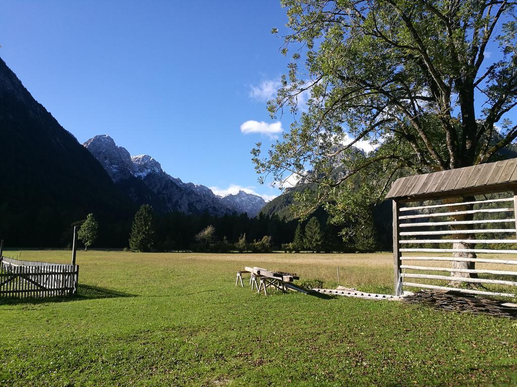 Turisticna Kmetija Psnak Appartement Mojstrana Buitenkant foto