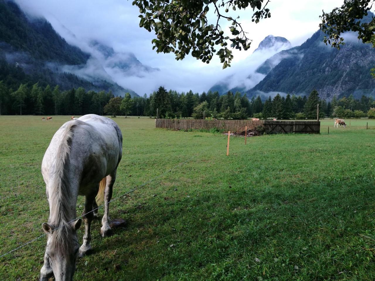 Turisticna Kmetija Psnak Appartement Mojstrana Buitenkant foto