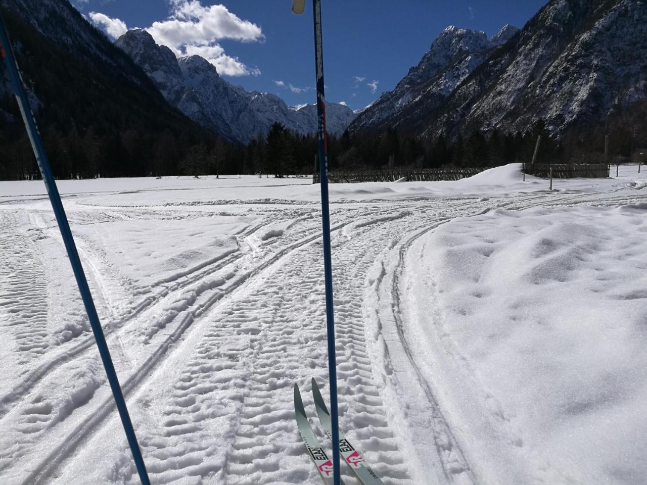 Turisticna Kmetija Psnak Appartement Mojstrana Buitenkant foto