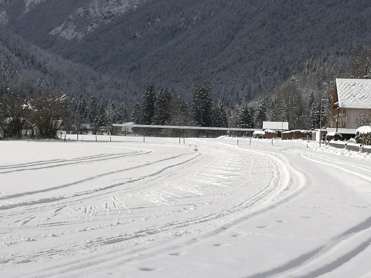 Turisticna Kmetija Psnak Appartement Mojstrana Buitenkant foto